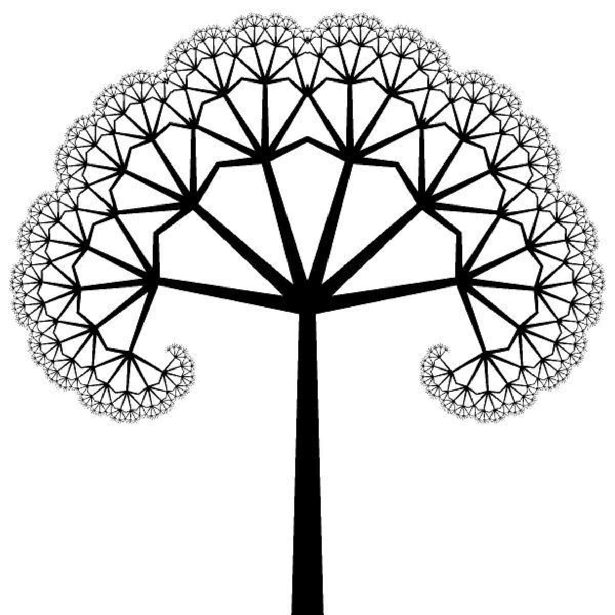 fractals-fractals-in-nature fractals-fractals-in-nature