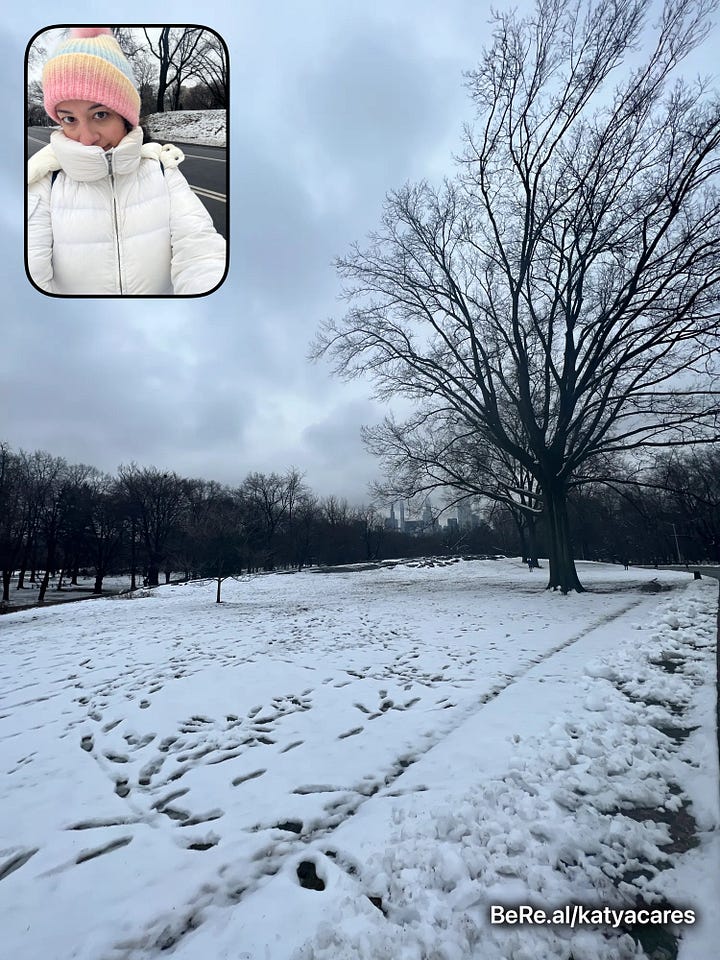 different photos of snow in Central Park & Katya looking happy