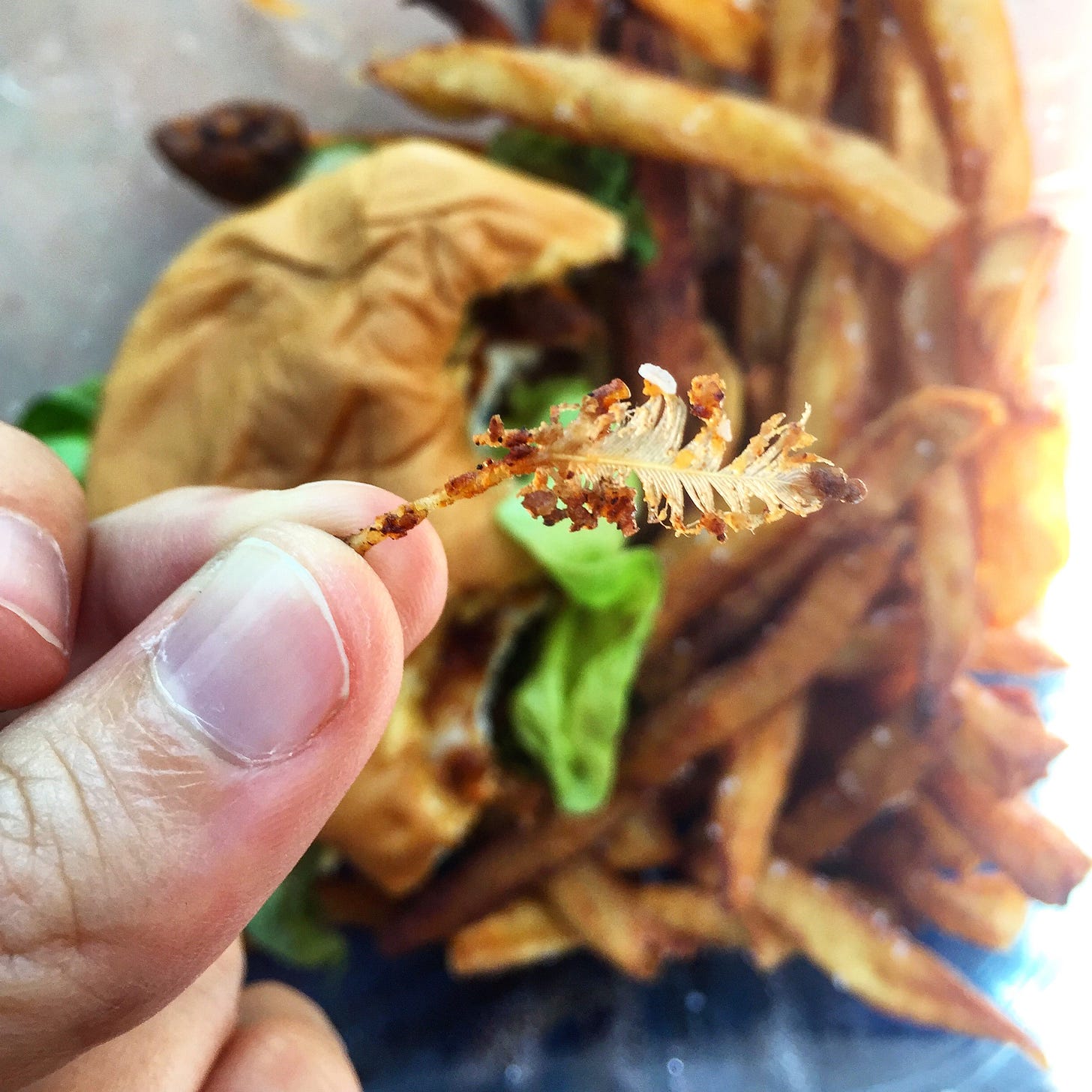 my hand holding up a slightly fried little feather in front of my delicious sandwich
