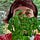 Stephanie Gilbert's avatar
