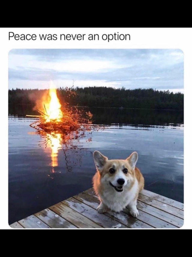 Dog of War : memes