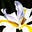 TracysPrayingPetals's avatar