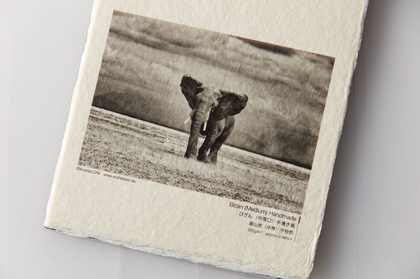 Awagami Bizan Natural Awagami Bizan Natural