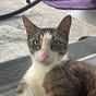 Susan's avatar