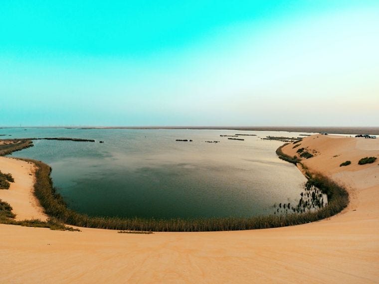 بحيرة الأصفر في الأحساء - الموقع الرسمي للسياحة السعودية بحيرة الأصفر في الأحساء - الموقع الرسمي للسياحة السعودية