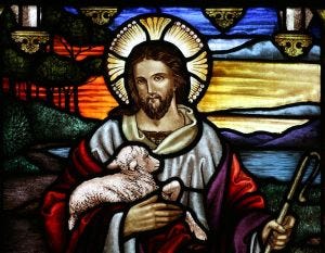 770px-StJohnsAshfield_StainedGlass_GoodShepherd_Portrait