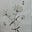 Lillies Rau's avatar