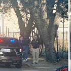 Wild but brief police chase goes the wrong way down McKinley in front of Whole Foods