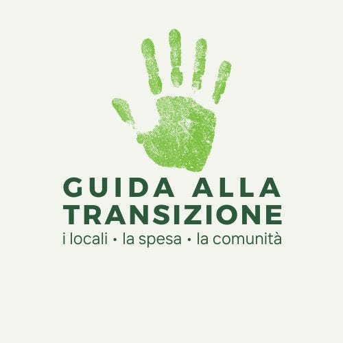 Guida alla Transizione