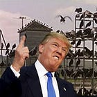 Trump Blows A Foul Wind