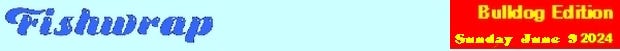 fishwraptop06.jpg