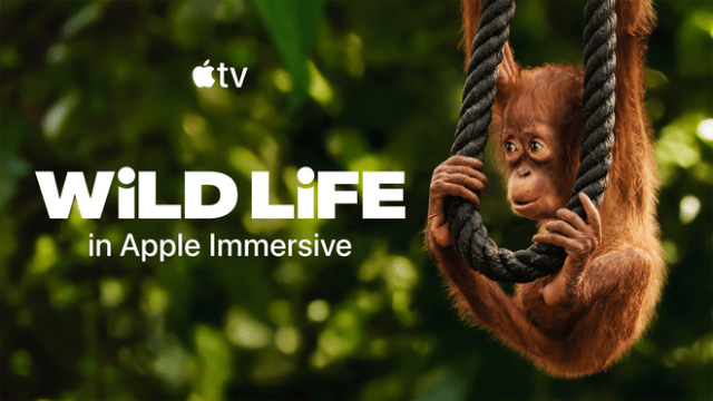 The latest episode of Wild Life, “Orangutans,” is now available on the Apple TV app.