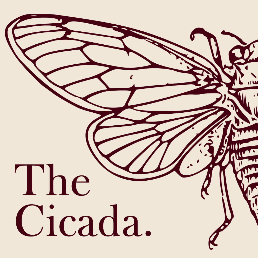 The Cicada