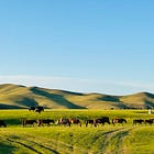 TUTTI GIÙ PER TERRA