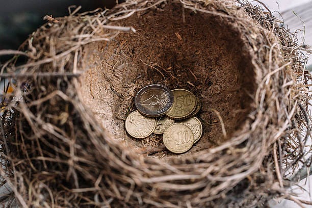Euro coins in the nest. Euro coins into the birdal nest. human nature stock pictures, royalty-free photos & images