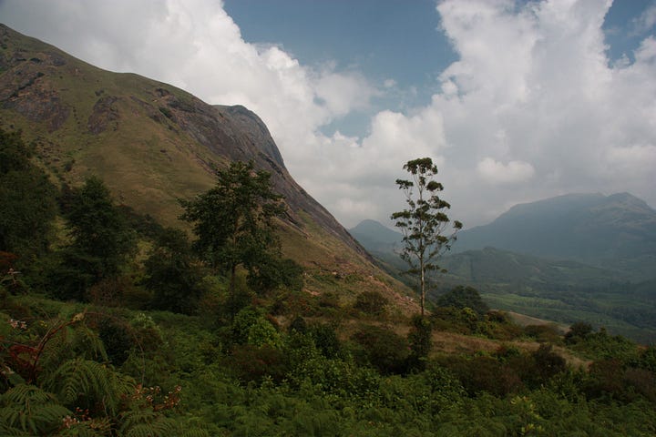 Images of mountains with cloudy skies, mostly grassland with some forest and bare rock.