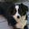 HKVP9's avatar