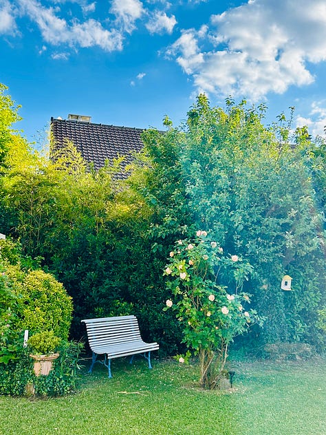 Different scenes from summer in France. A green garden with bench; a river with a table set for lunch in the water; a father and his kids; a classic red and white checked French tablecloth: Karen Bussen at home in her gardening apron; lunch plates from the Moulin de Flagy; and scenes of sunset and flowers in France