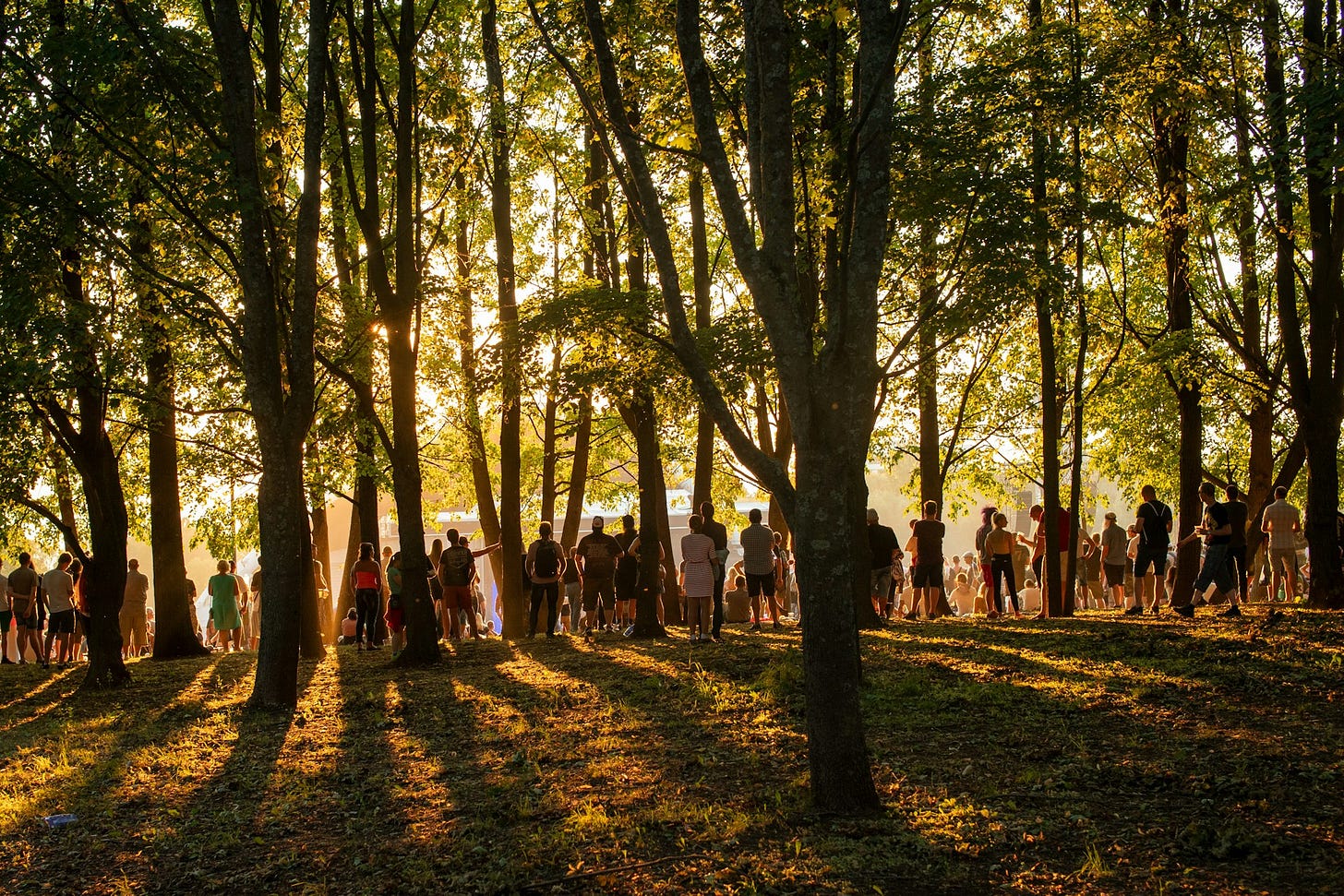 People stand in a long, loosely spaced line among trees at the Tallinn Song Festival Grounds, listening to a concert on a warm summer evening as golden sunlight filters through the scene.
