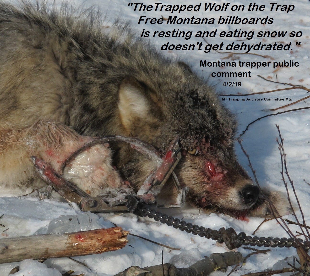 No photo description available.