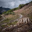 Death By A Thousand Clearcuts