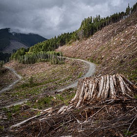 Death By A Thousand Clearcuts