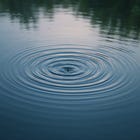 How to Build Influence Without Authority