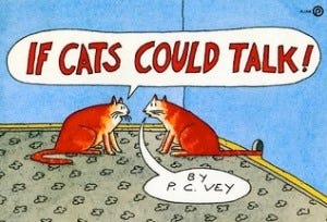 Vey:Cats
