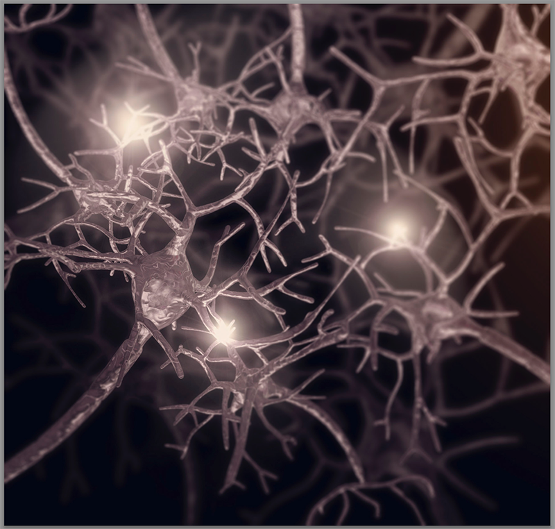 synaptic plasticity synaptic plasticity
