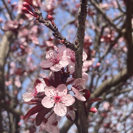 vaguear de uma ideia pra outra