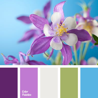 violet shades