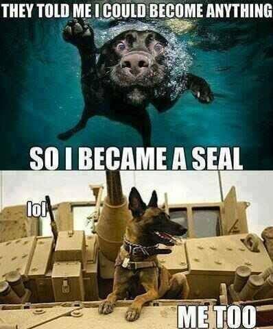 The 13 Funniest Military Memes of the Week 12/10/15