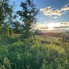 The peculiar power of non-attachment in achieving BIG goals