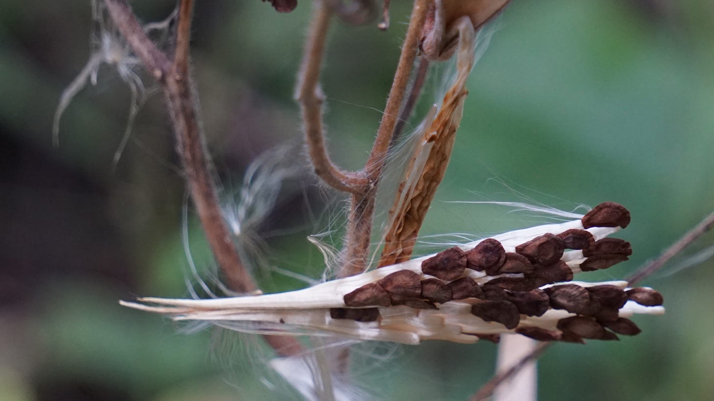 what the dark can teach us