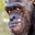 Ian Jobling's avatar