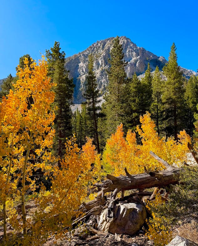 The 5 California Hikes That Changed My Life, and a Fight for Yosemite