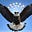 Comfort Eagle's avatar