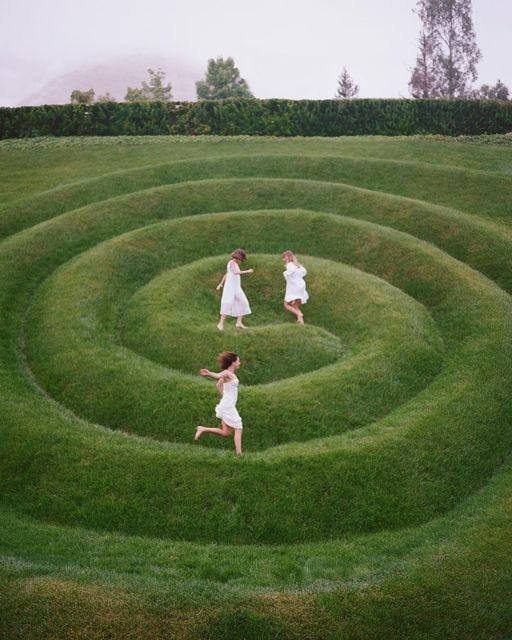 An Instagram  post added on Jan 23, 2024. The author is @cosmos. May present: grassland, İstanbul, plant, sky, people in nature.