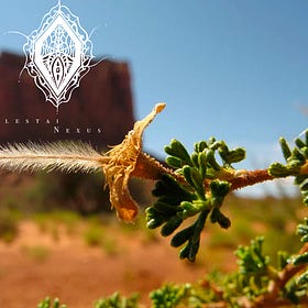 Full Breakdown of the Qdots and Mesogenic Fibers: No Robots in Sight!