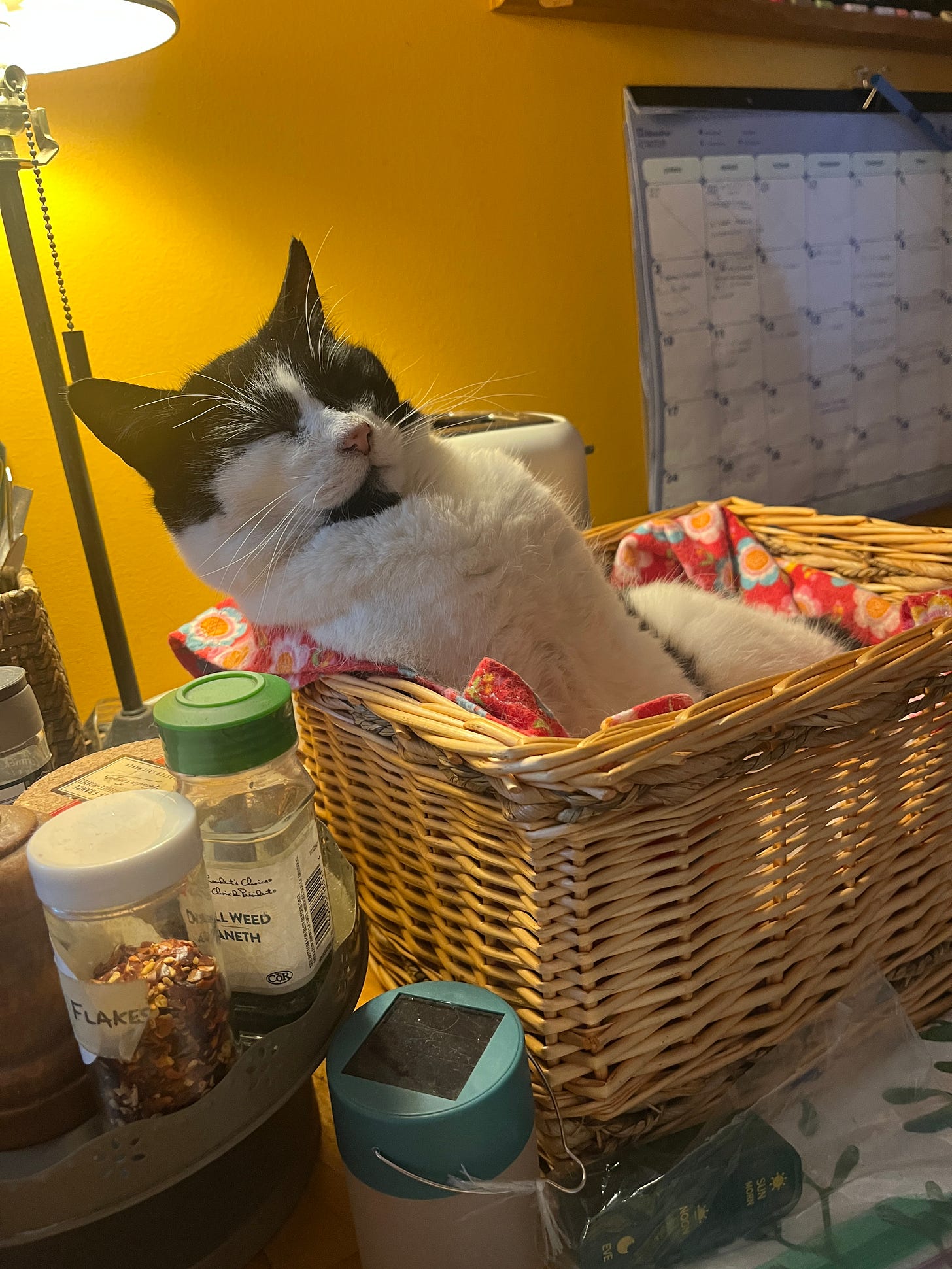 A black and white cat sits akwardly in a square basket, leaning to one side i a funny way