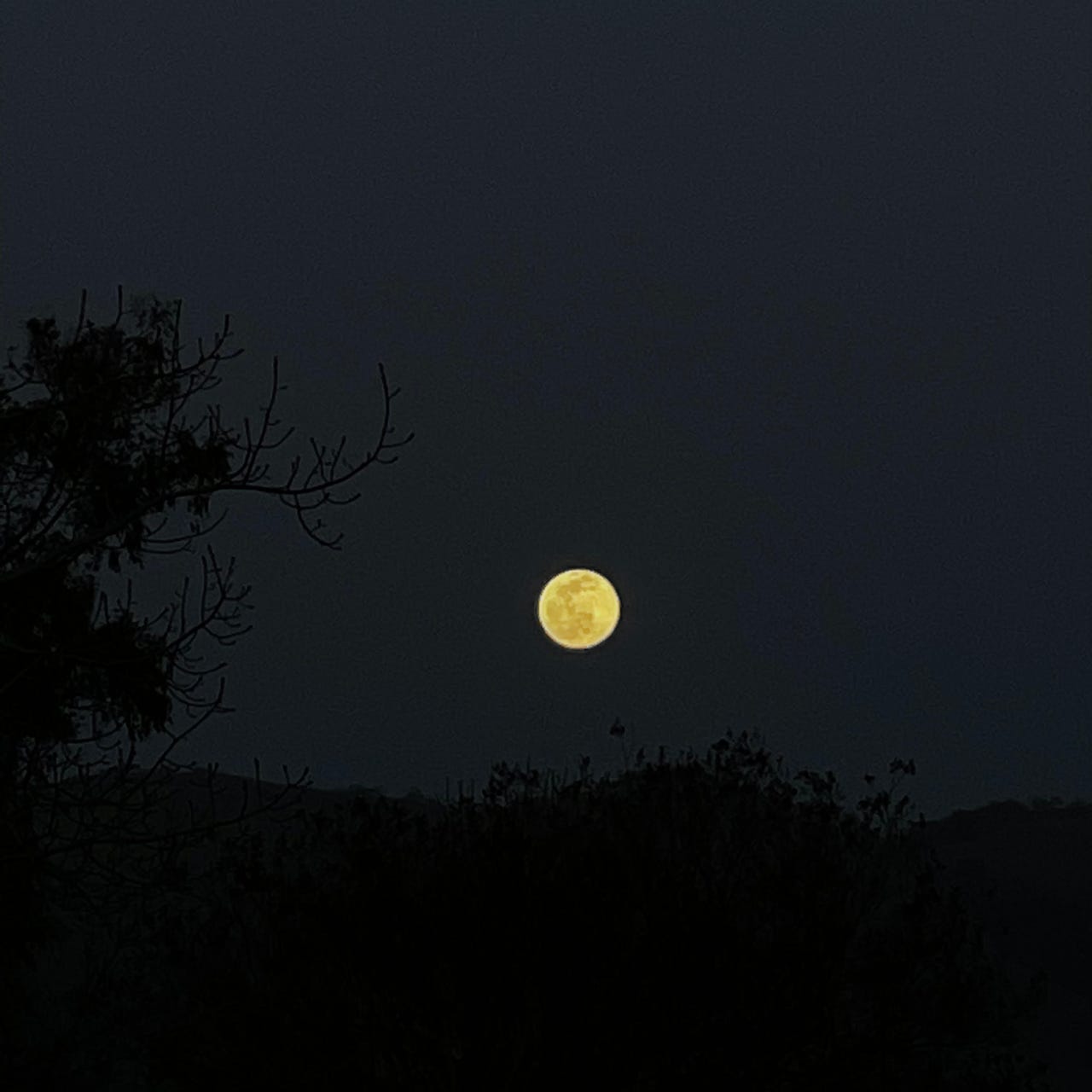 moonlit intimacy logo