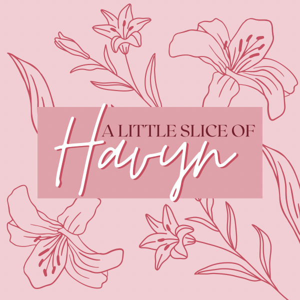 Artwork for Havyn’s Substack