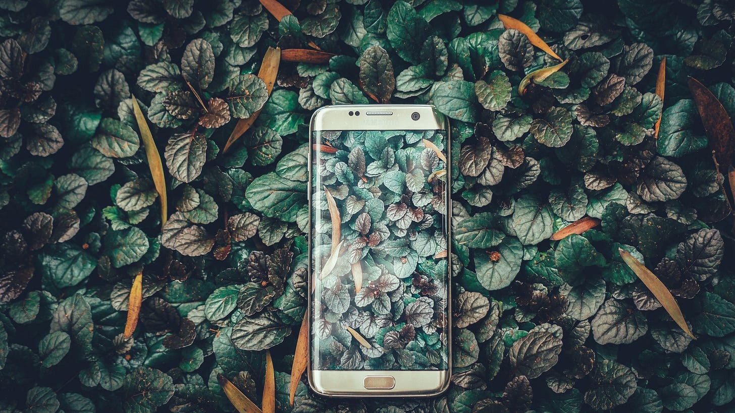 Photo by Ravi Kumar on Unsplash Photo by Ravi Kumar on Unsplash