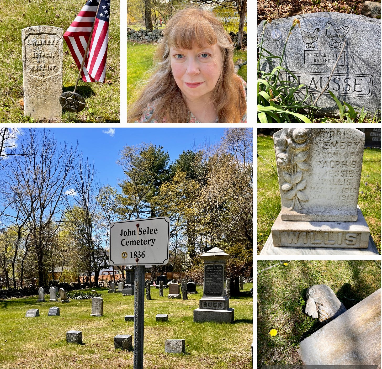 Photo collage, clockwise from top left: gravestone of Laban Wheaton Drake; photo of author; gravestone with bantam hens; infant grave; toppled lion ornament; historic cemetery sign. Easton, Massachusetts.