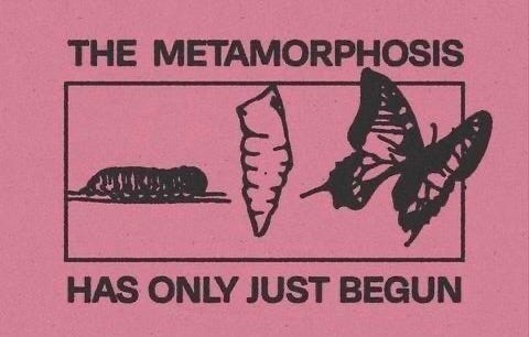 This may contain: the metamorphosis has only just begun poster with butterfly and caterpillar