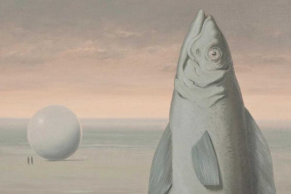 Expressive Egg | Darren Allen | Substack