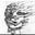AELLE's avatar