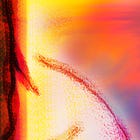 Little Flower Bright