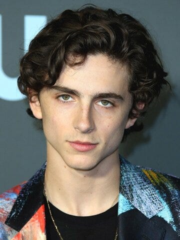 Timothée Chalamet - Actor
