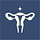 The Birth Book Companion